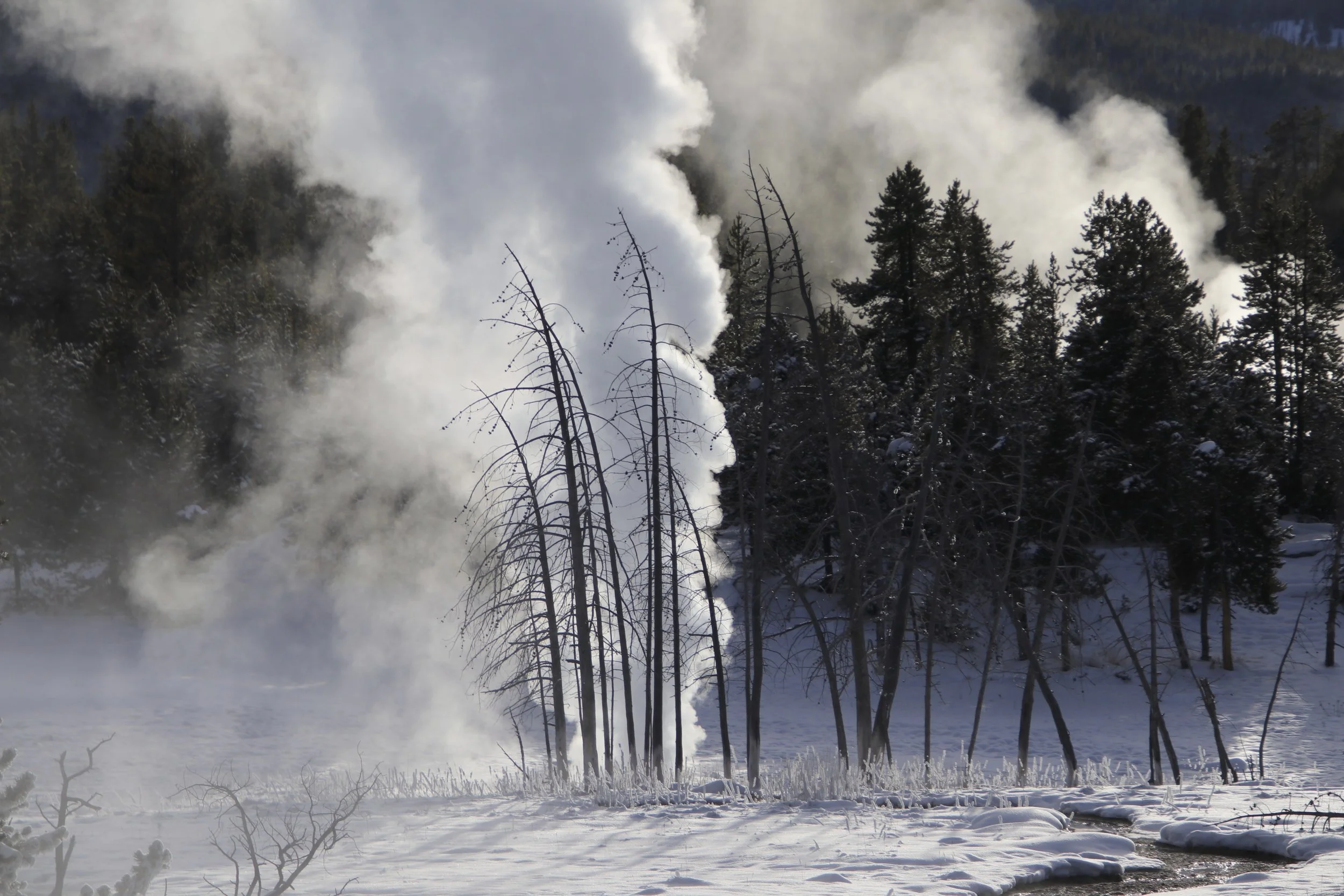 Yellowstone National Park in Winter 2019