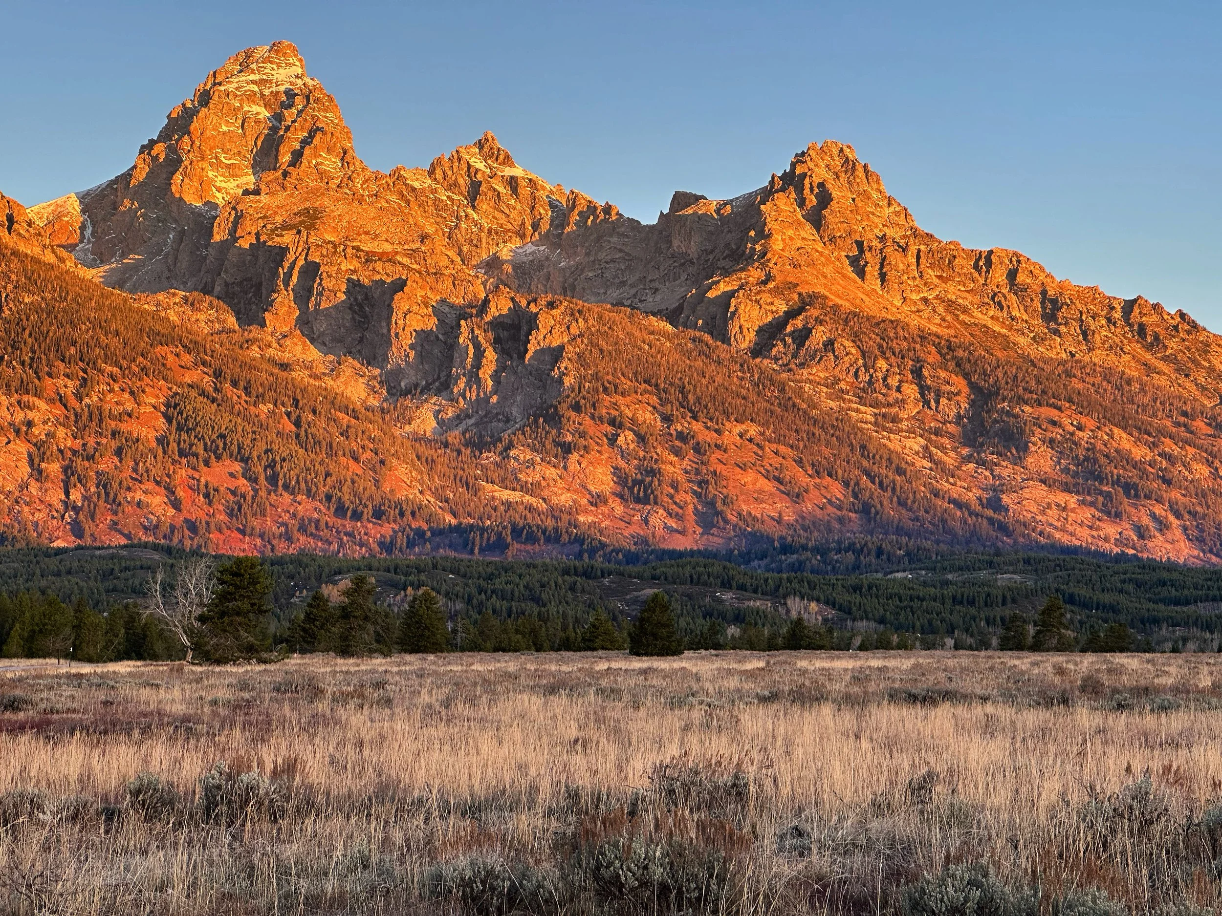 Grand Teton and Glacier National Parks