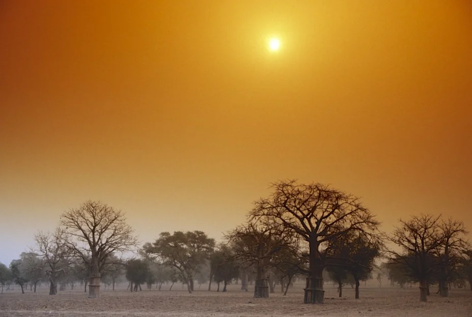 Mali - Dogon Country